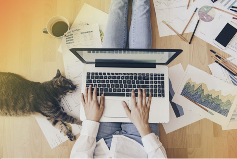Woman Typing on Laptop next to Gray Cat